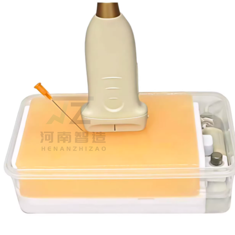 Model Pelatihan Pungsi Vaskula - Medical Gel Ultrasound ulasan dan harga